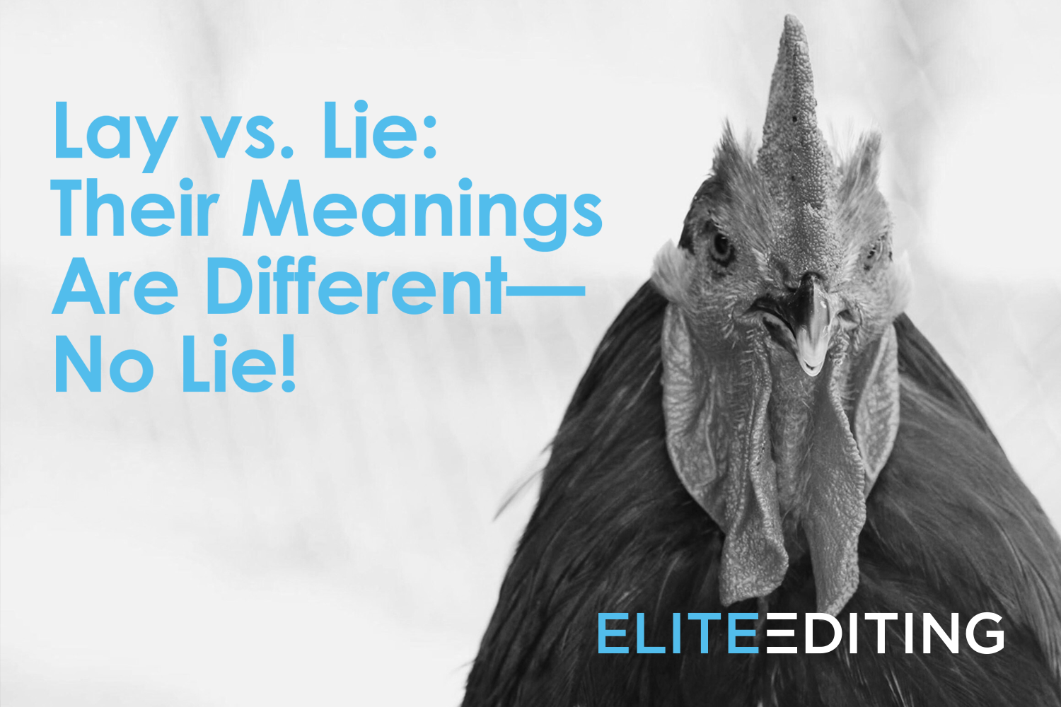 Lie meaning